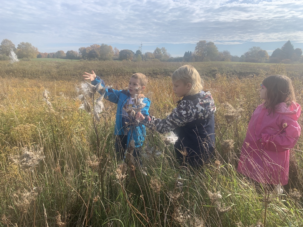 Releasing Milkweed Seeds