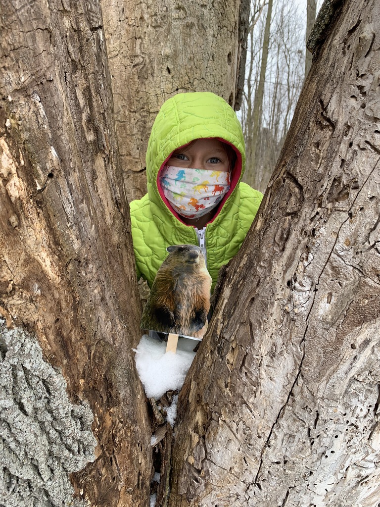 Hiding a groundhog